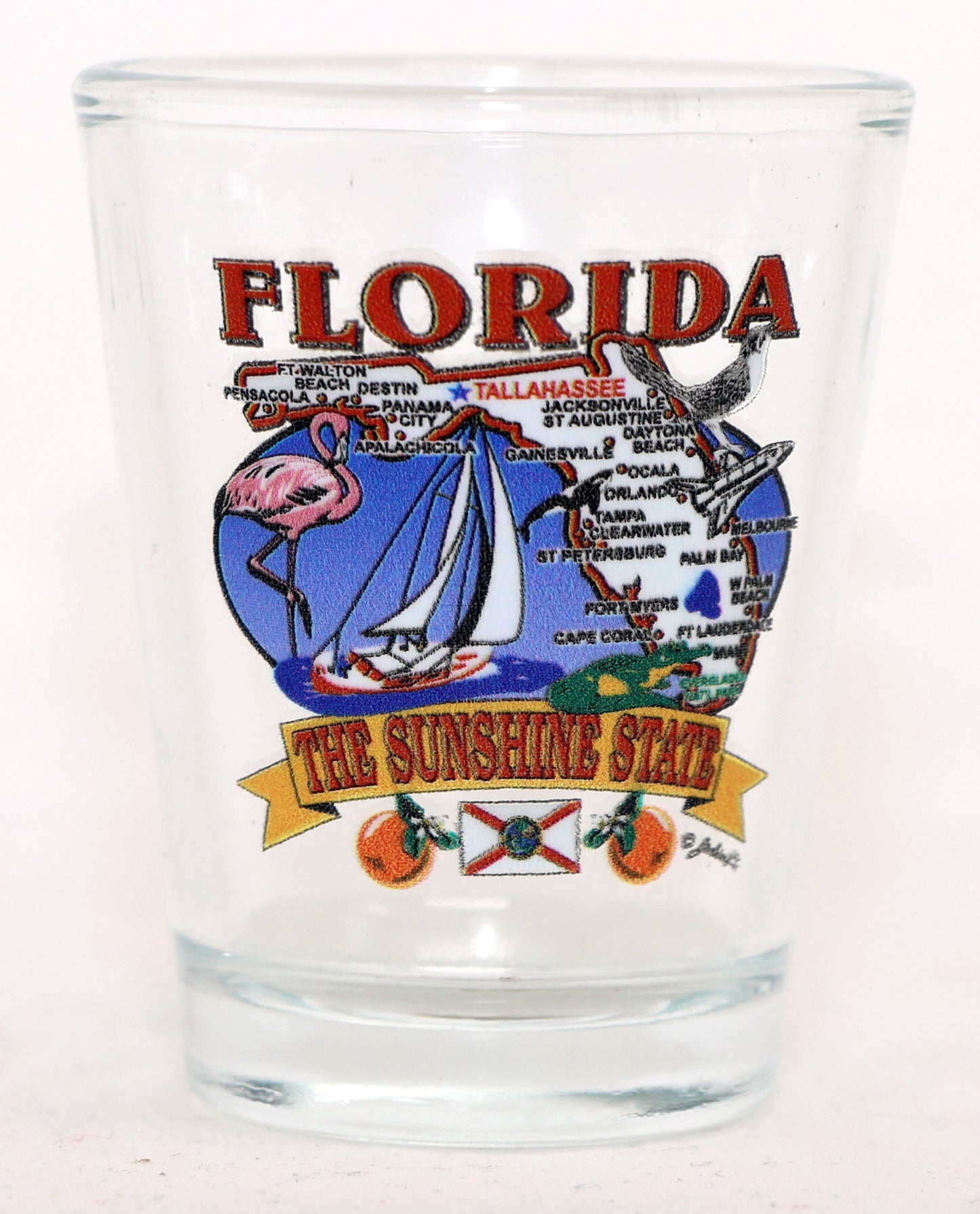 Florida State Elements Map Shot Glass