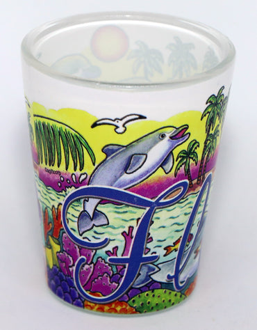 Florida Dolphins Big Name Shot Glass