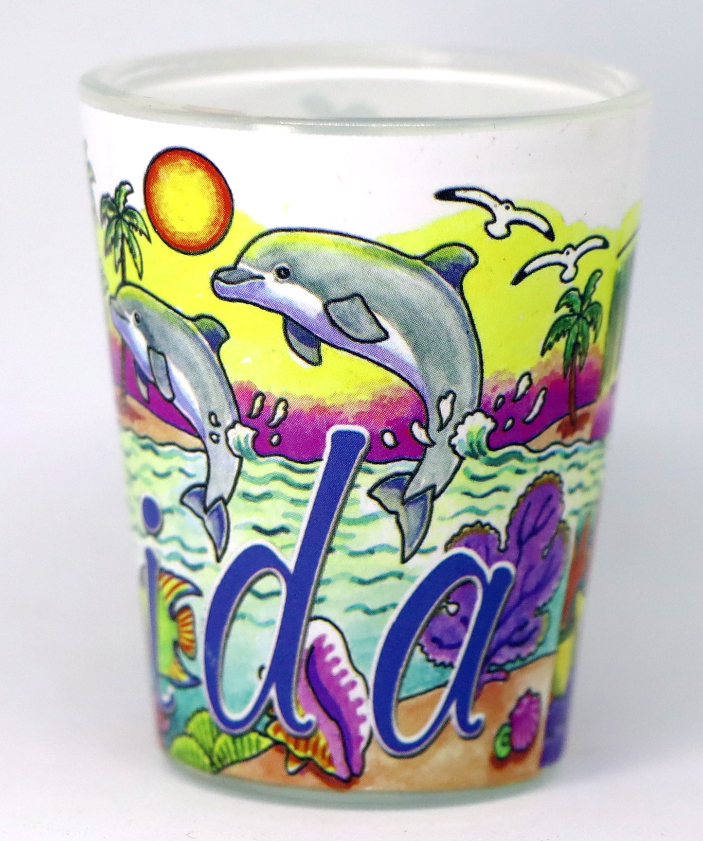 Florida Dolphins Big Name Shot Glass