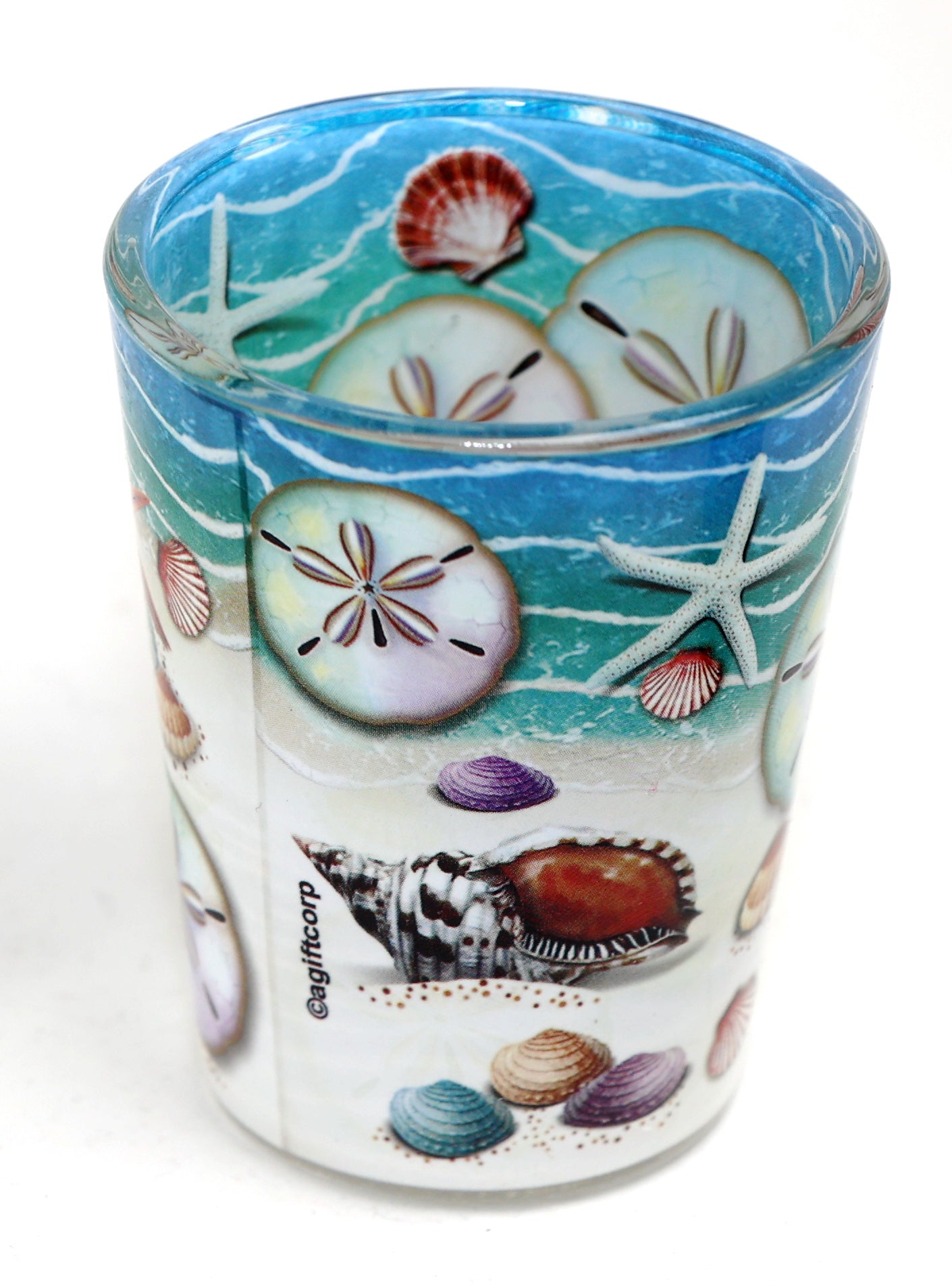 Panama City Florida Sand Dollar In and Out Shot Glass
