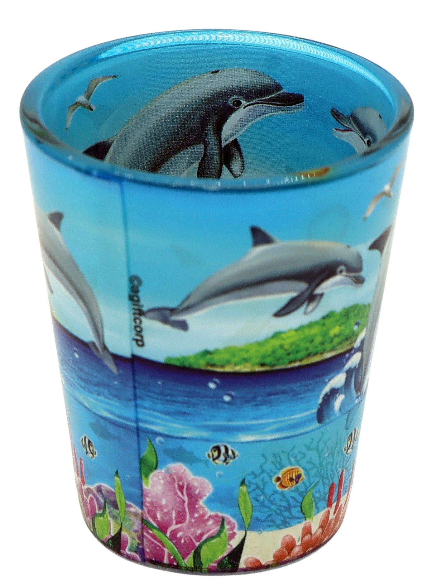 St. John US Virgin Islands Dolphins and Reef In and Out Shot Glass