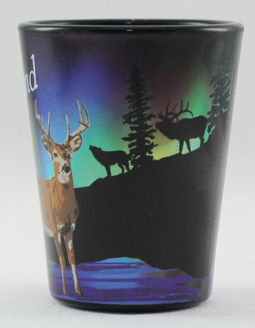 Iceland Northern Lights Deer Shot Glass