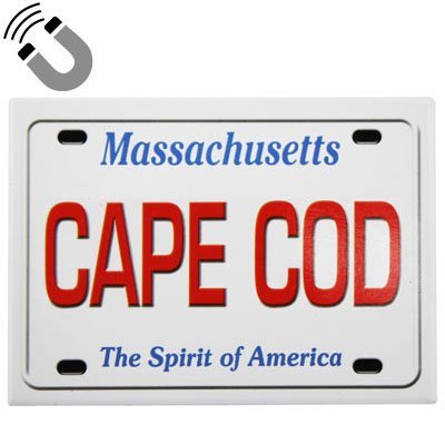 Cape Cod Massachusetts License Plate Fridge Collector's Souvenir Magnet 2.5 inches X 3.5 inches