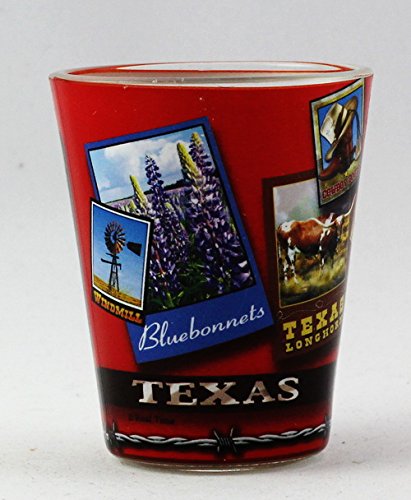 Texas Poster Art Shot Glass rtp