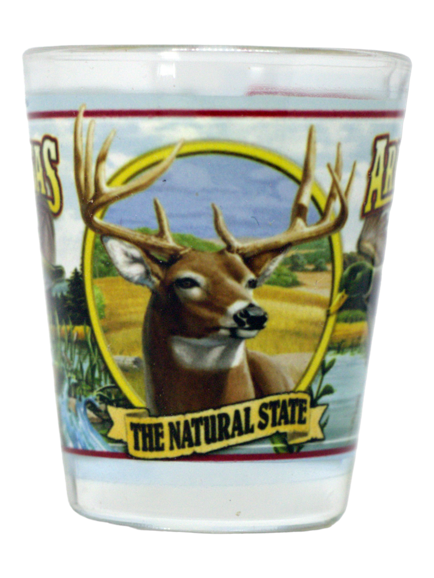 Arkansas State Mural Shot Glass