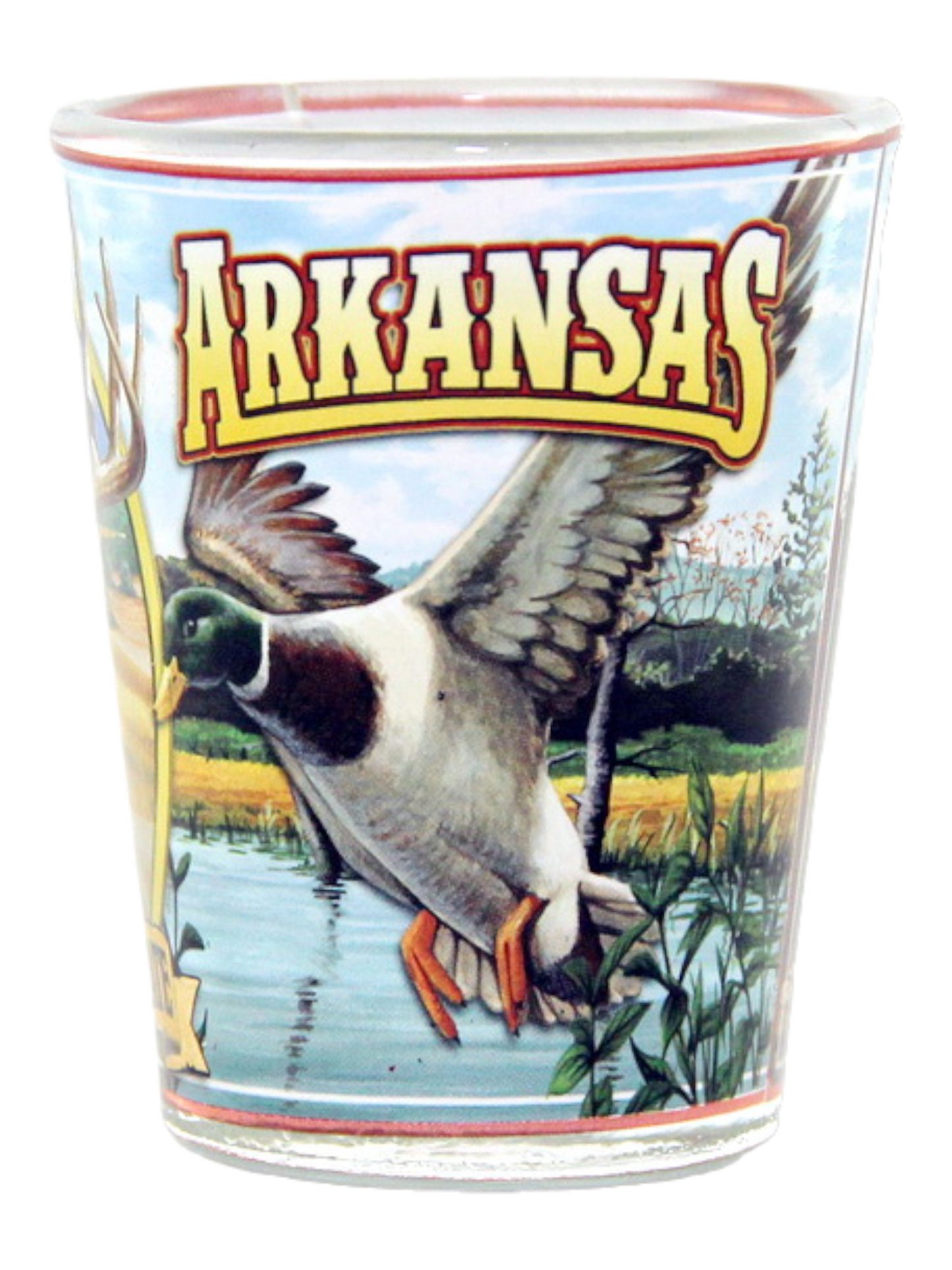 Arkansas State Mural Shot Glass