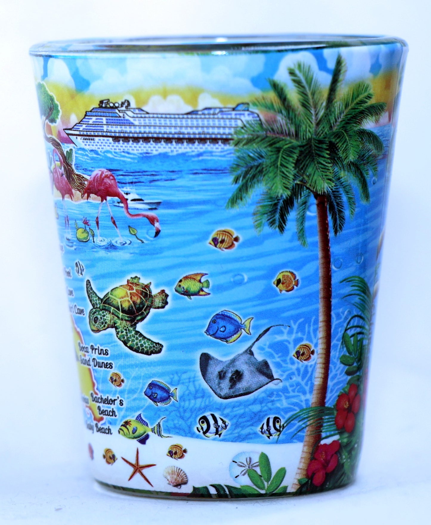 Aruba Scene In and Out Shot Glass