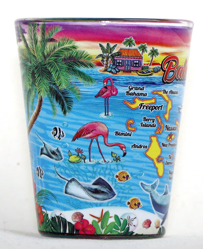 Bahamas Scene In and Out Shot glass