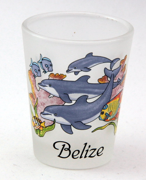 Belize Jumping Dolphins Frosted Caribbean Shot Glass