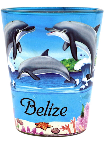 Belize Dolphins and Reef In and Out Shot Glass