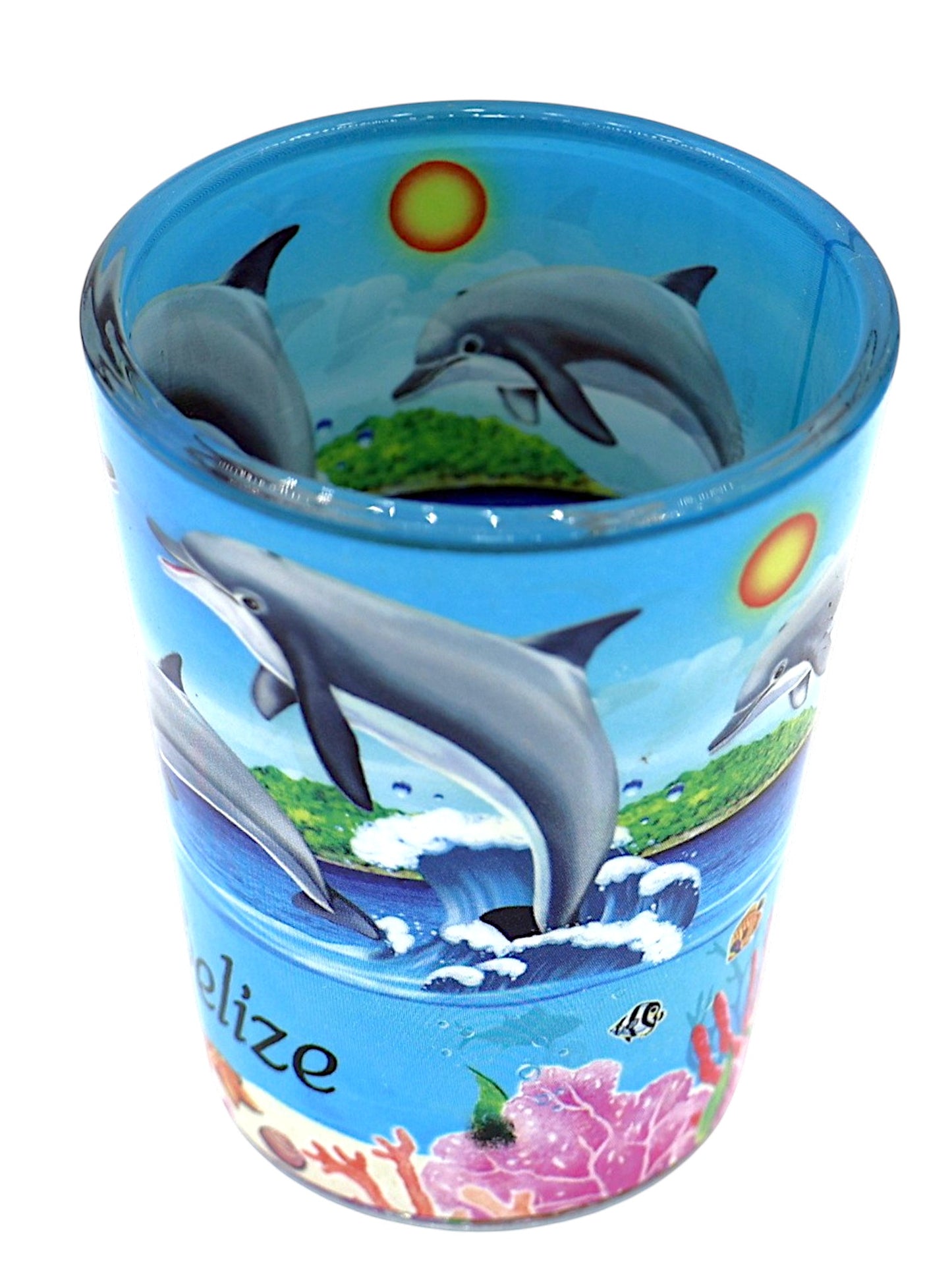 Belize Dolphins and Reef In and Out Shot Glass