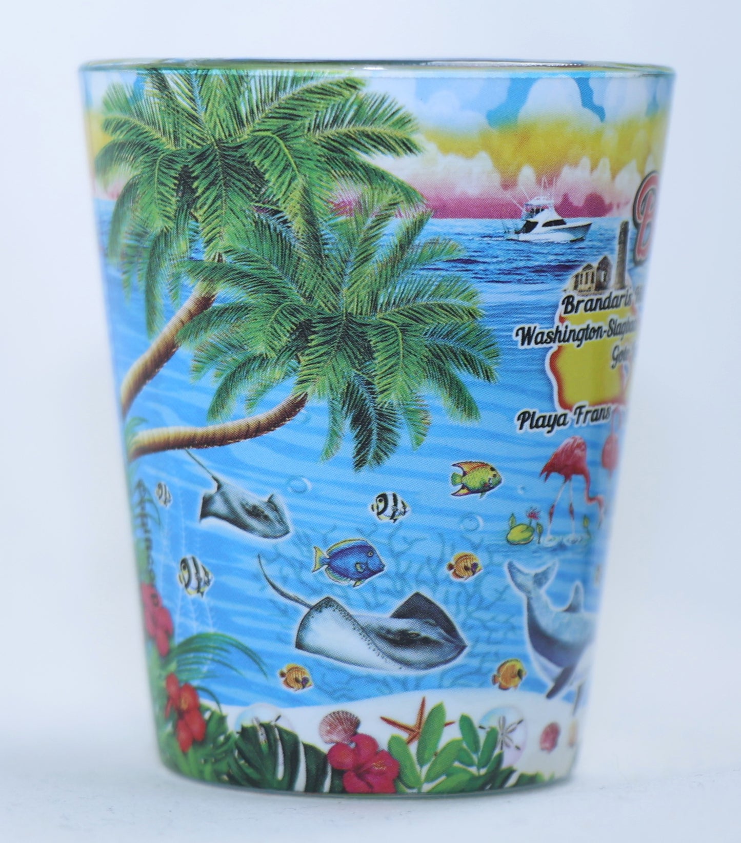 Bonaire Scene In and Out Shot Glass