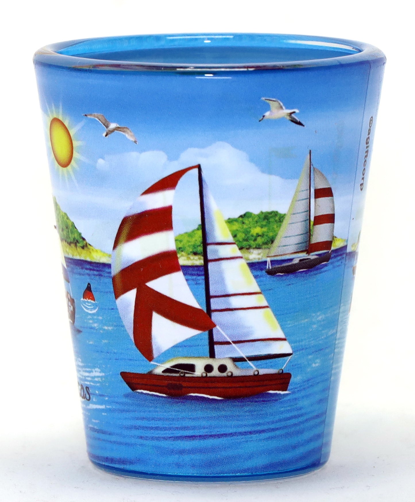 Cabo San Lucas Mexico Sailboats In and Out Shot Glass