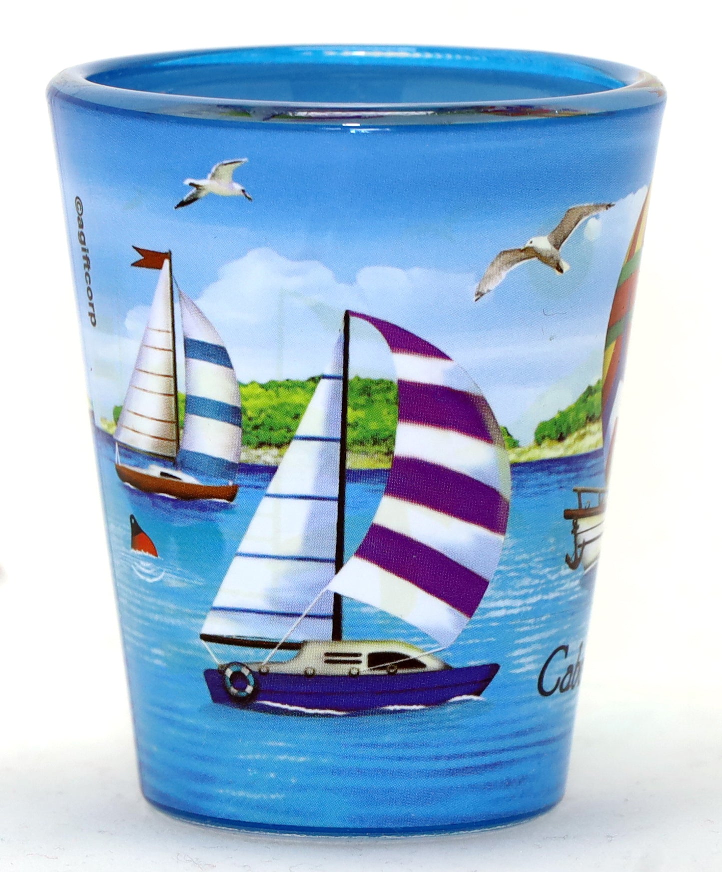 Cabo San Lucas Mexico Sailboats In and Out Shot Glass