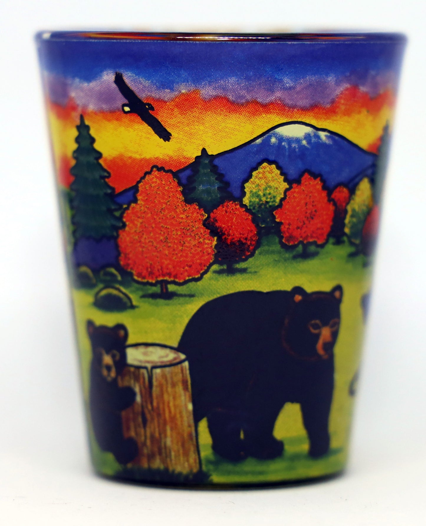 California Bear In & Out Collectible shot glass