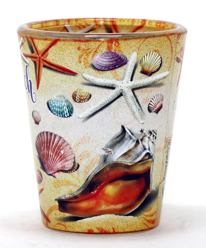 Cancun Mexico Life's Beach Shells In and Out Shot Glass