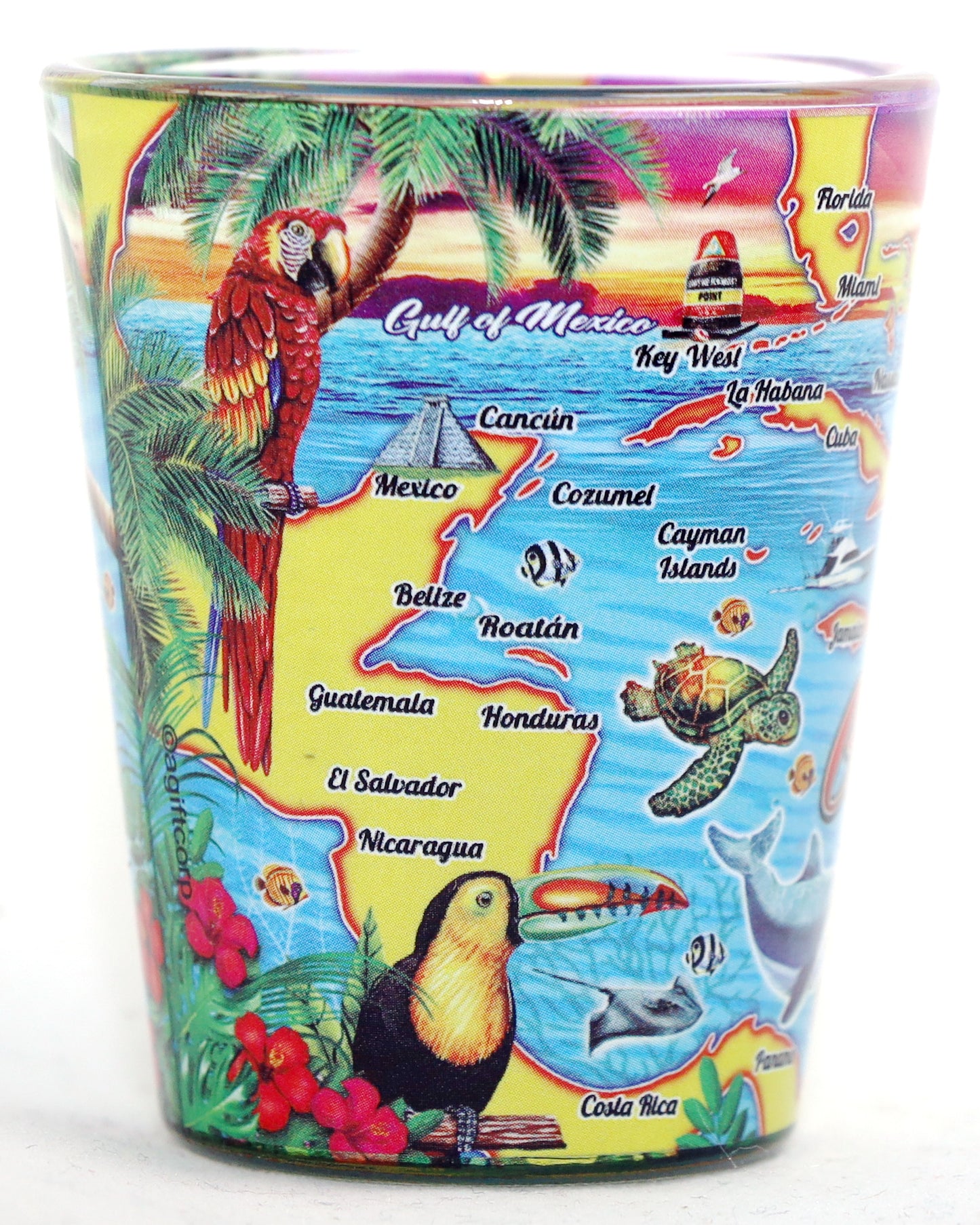 Caribbean Map In-and-Out Shot Glass