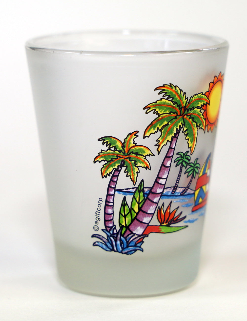 Caribbean Paradise Frosted Caribbean Shot Glass