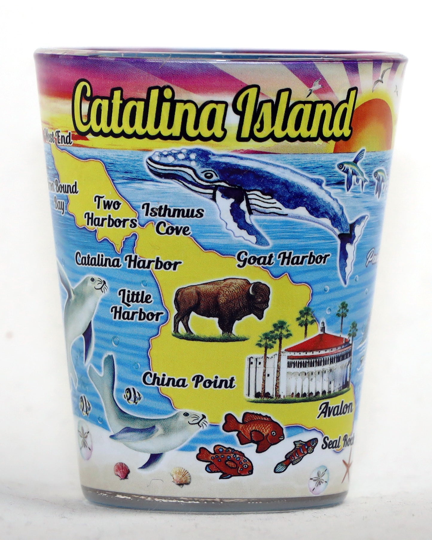 Catalina Island California Map In-and-Out Shot Glass