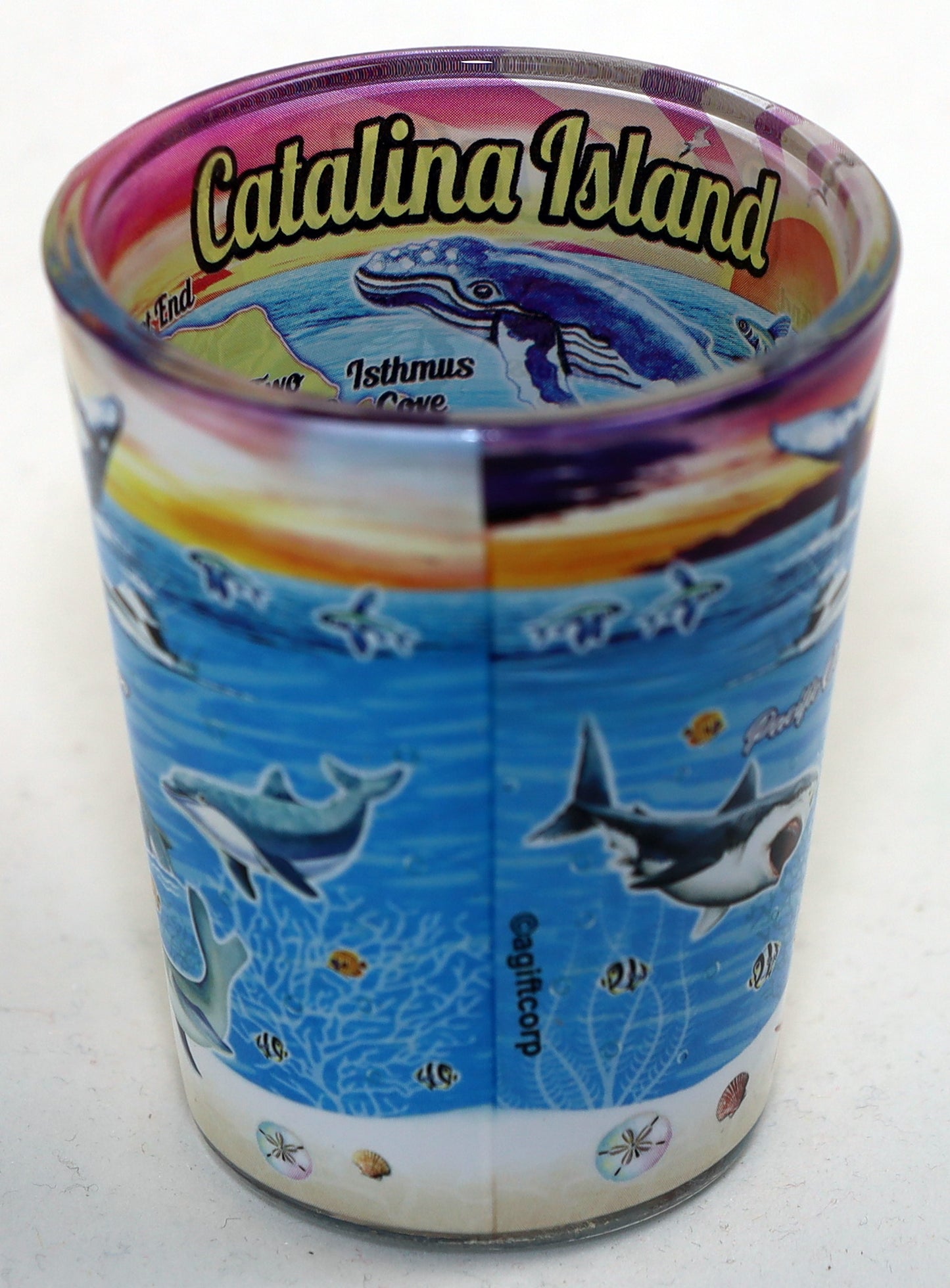 Catalina Island California Map In-and-Out Shot Glass