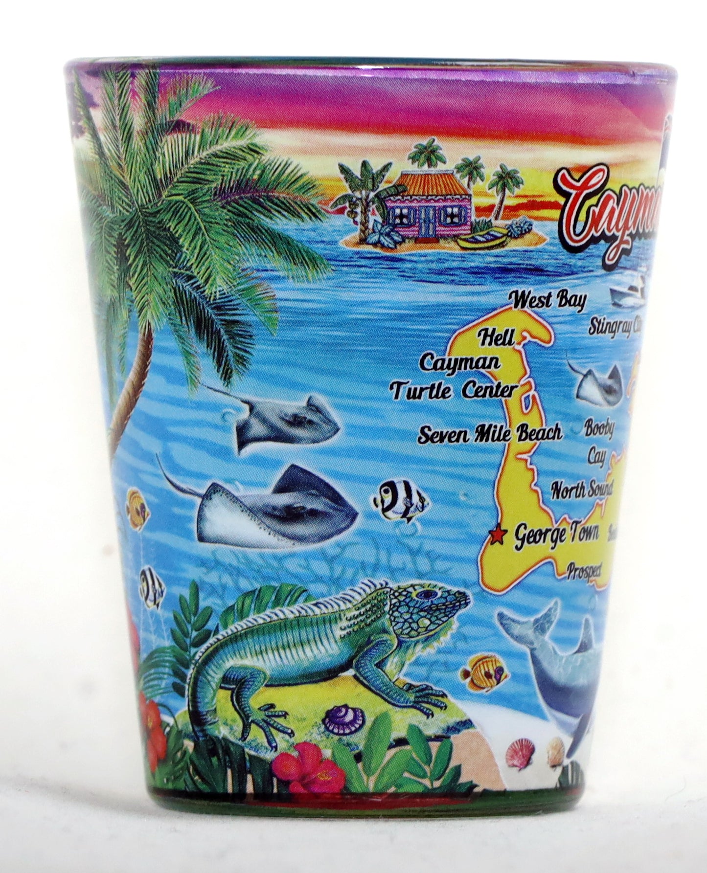 Cayman Islands Attractions In-and-Out Shot Glass