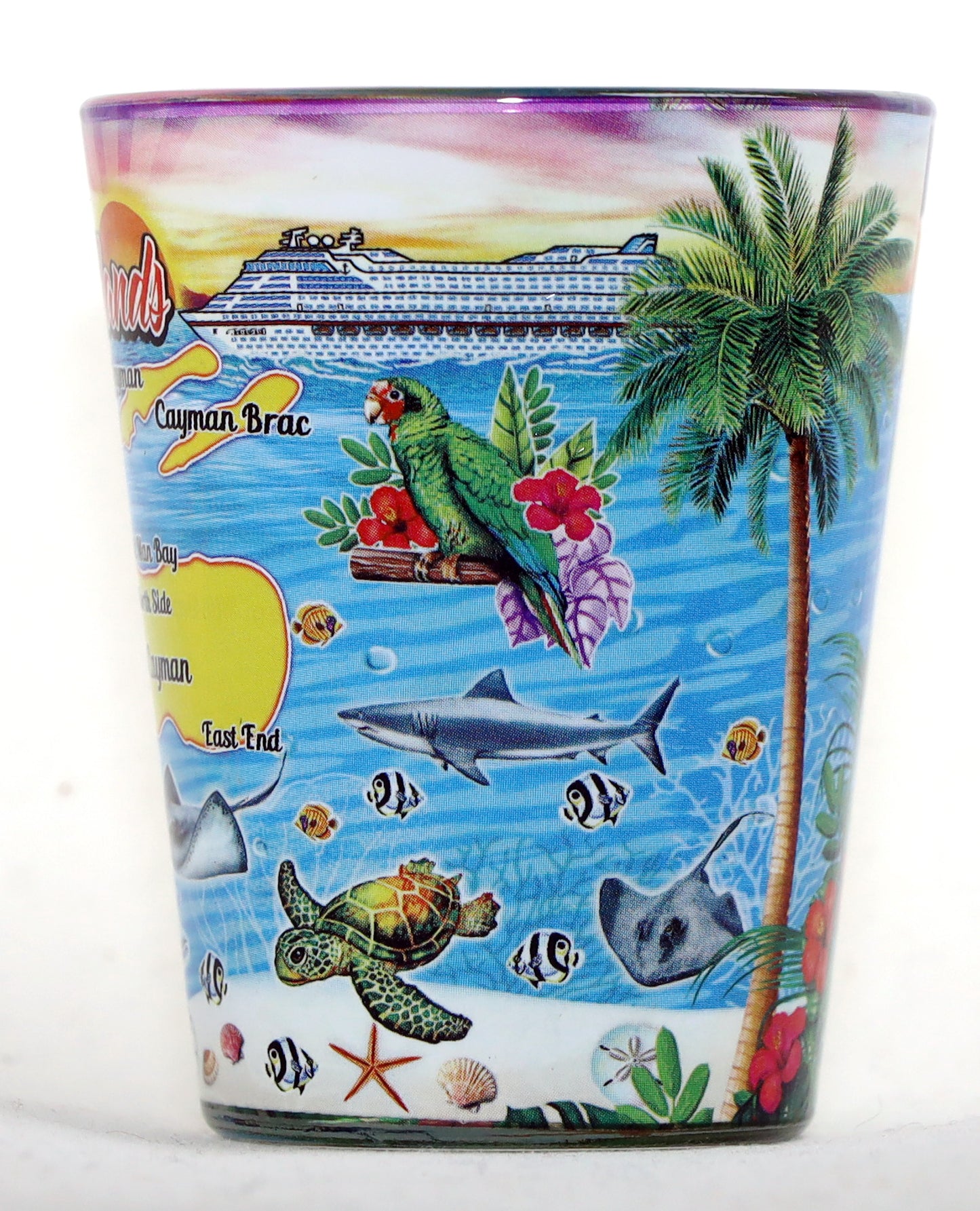 Cayman Islands Attractions In-and-Out Shot Glass