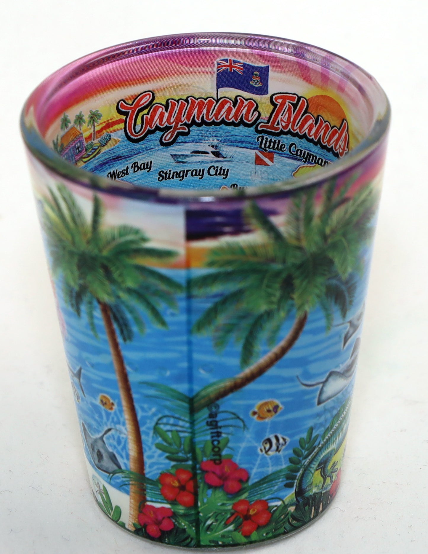 Cayman Islands Attractions In-and-Out Shot Glass