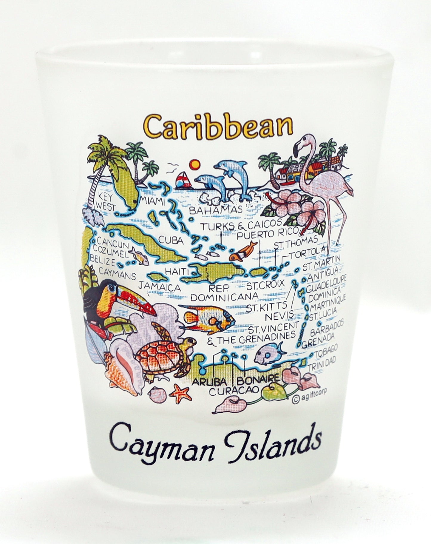 Cayman Islands Caribbean Map Frosted Shot Glass