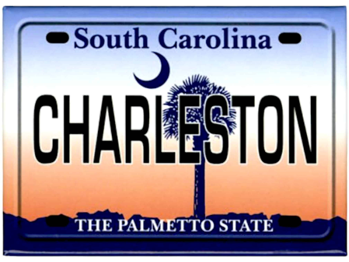 Charleston South Carolina License Plate Fridge Collector's Souvenir Magnet 2.5" x 3.5"