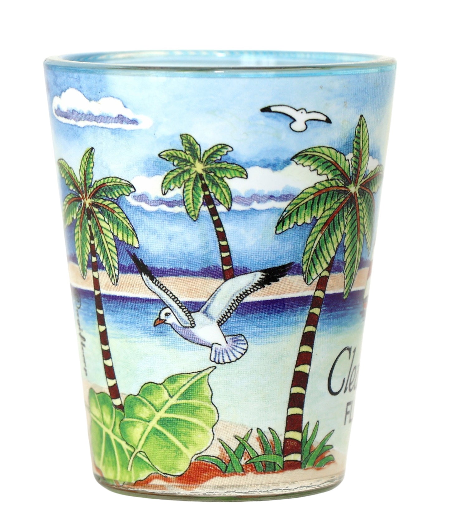 Clearwater Florida Blue Palms In and Out Shot Glass