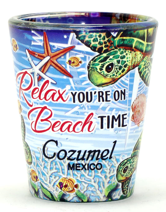 Cozumel Mexico Turtle Relax In and Out Shot Glass