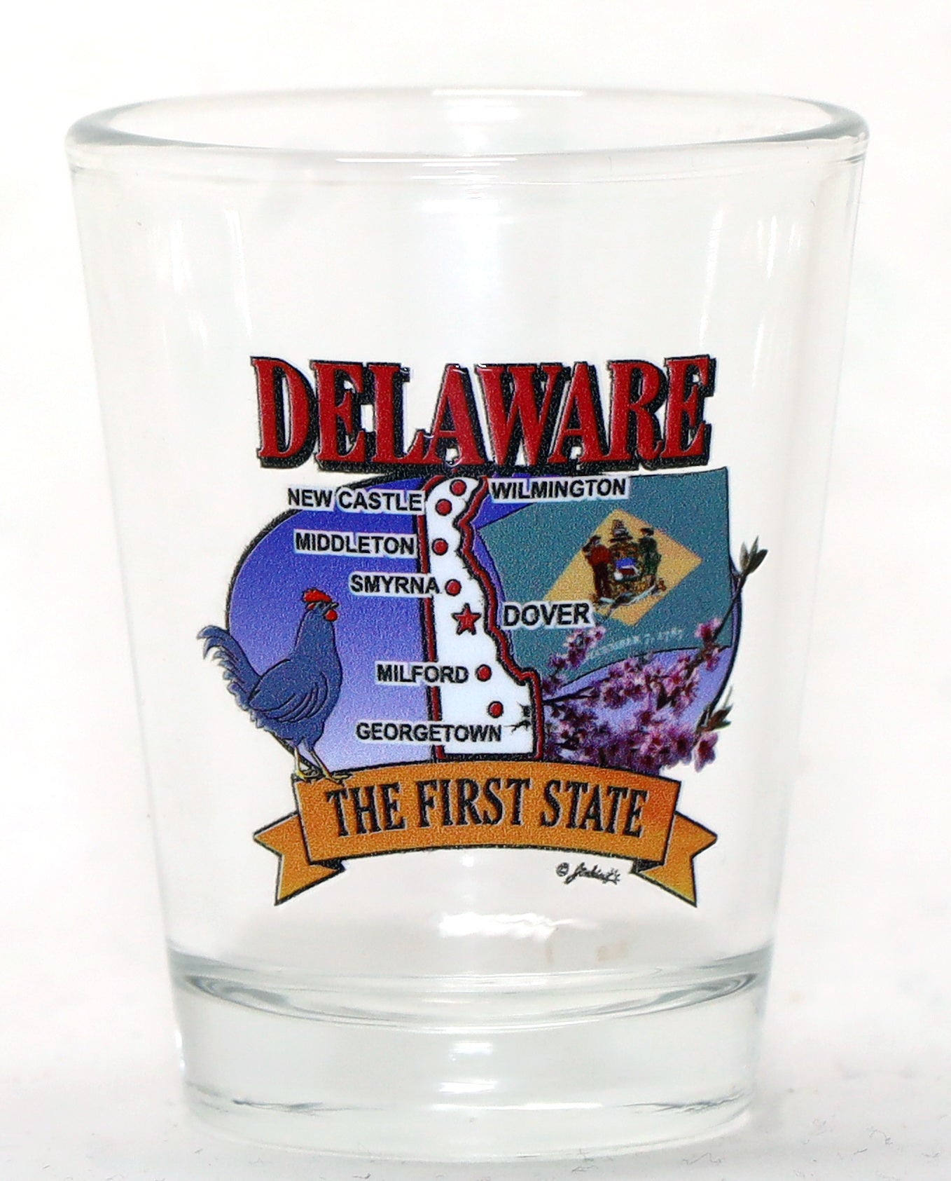 Delaware State Elements Map Shot Glass