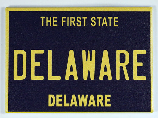 Delaware License Plate Fridge Collector's Souvenir Magnet 2.5" X 3.5"