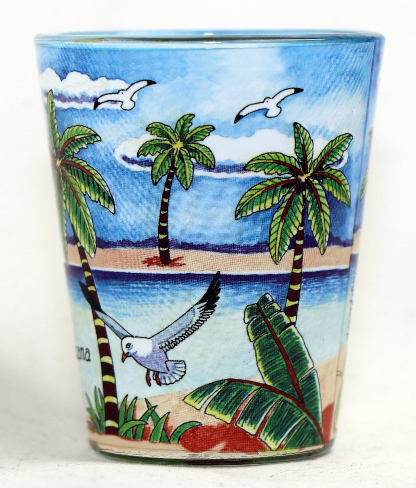 Dominican Republic Blue Palms In-and-Out Shot Glass