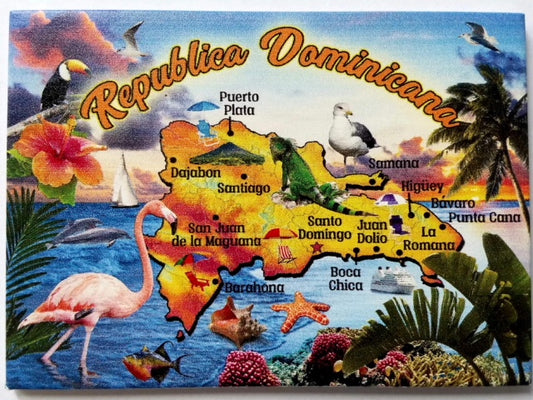 Dominican Republic Map Caribbean Fridge Collector's Souvenir Magnet 2.5" x 3.5"