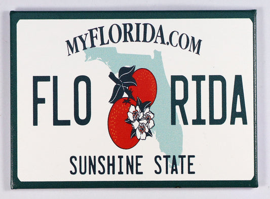 Florida License Plate Fridge Collector's Souvenir Magnet 2.5" X 3.5"