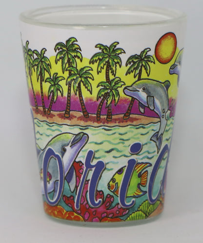 Florida Dolphins Big Name Shot Glass