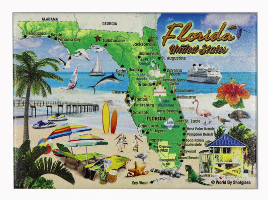 Florida Attractions & Icons Collage Fridge Collector's Souvenir Magnet 2.5 inches X 3.5 inches