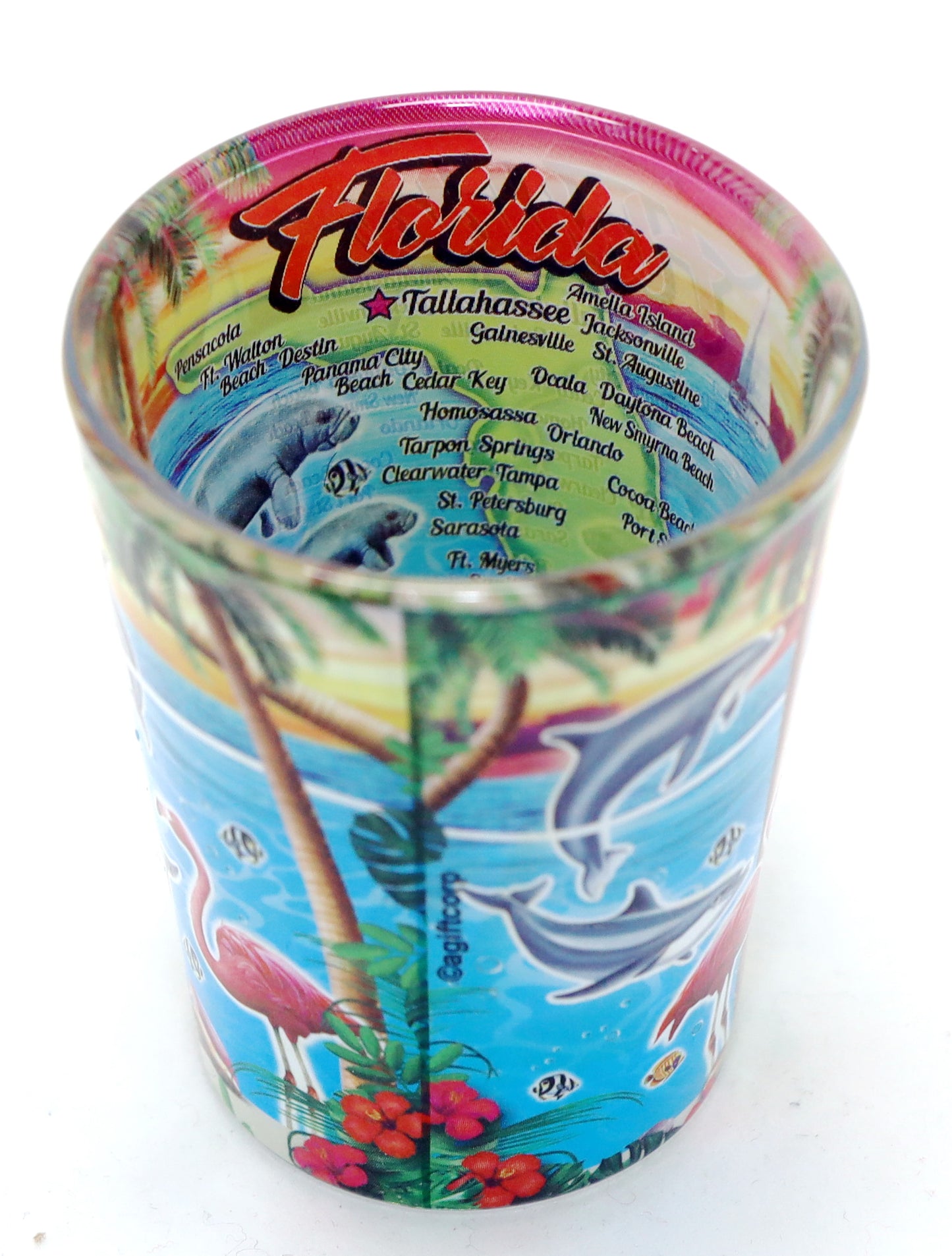 Florida Map In and Out Shot Glass