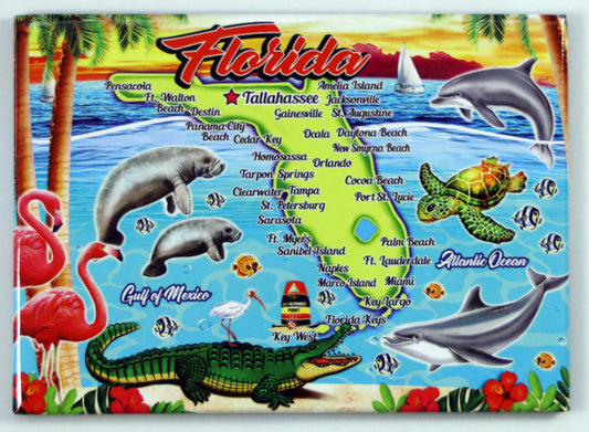 Florida Map New Pop Art Magnet 2.5" x 3.5"