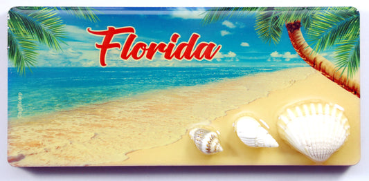 Florida Palm Shell MDF Magnet 4.25" x 2" x 0.25"