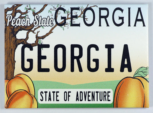 Georgia License Plate Fridge Collector's Souvenir Magnet 2.5" X 3.5"