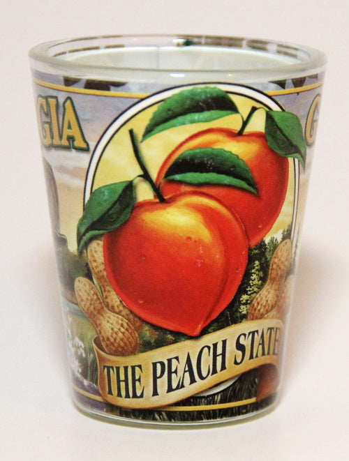 Georgia State Mural Shot Glass