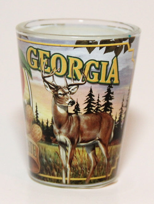 Georgia State Mural Shot Glass