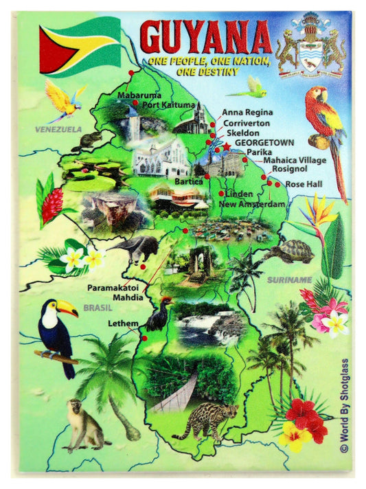 Guyana Graphic Map and Attractions Souvenir Fridge Magnet 2.5" X 3.5"