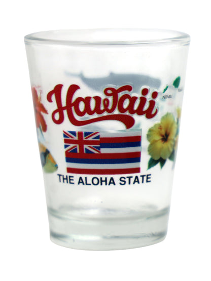 Hawaii United States USA Souvenir Boxed Shot Glass Set (Set of 6)
