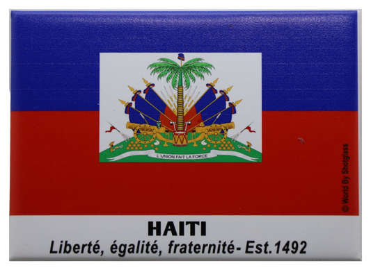 Haiti Flag Caribbean Fridge Collector's Souvenir Magnet 2.5" X 3.5"