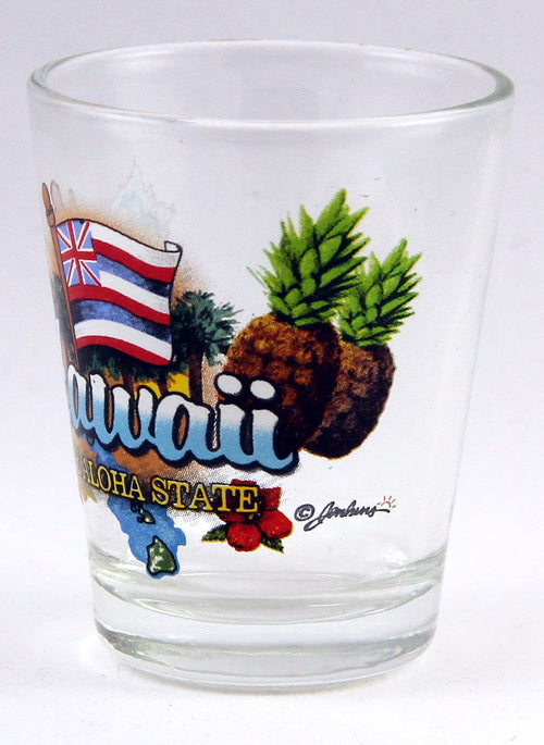 Hawaii Aloha State Elements Shot Glass