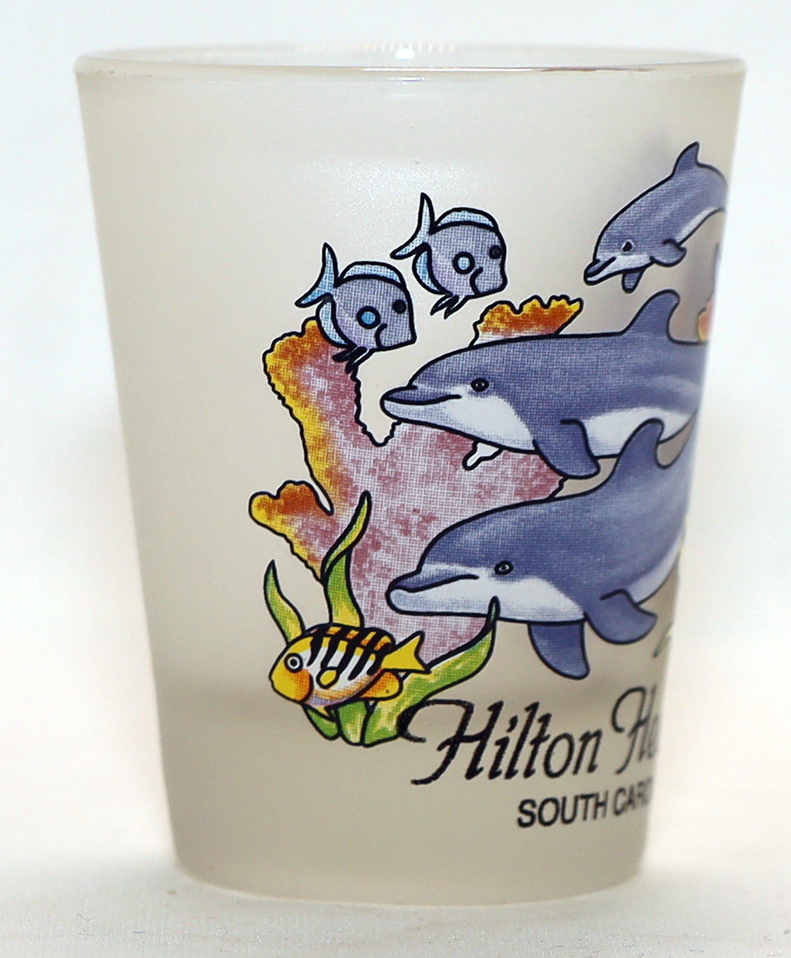 Hilton Head South Carolina Jumping Dolphins Shot Glass