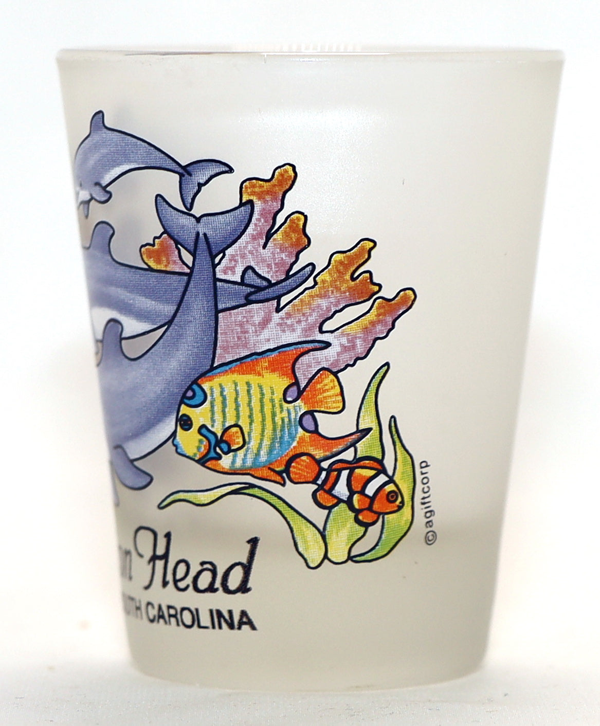 Hilton Head South Carolina Jumping Dolphins Shot Glass